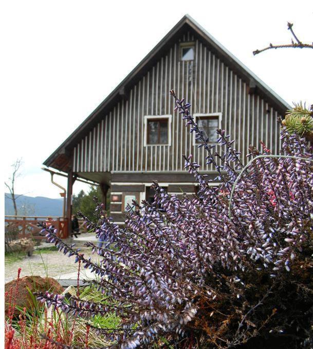 Hotel Horsky Ranc Pec pod Sněžkou Exteriér fotografie